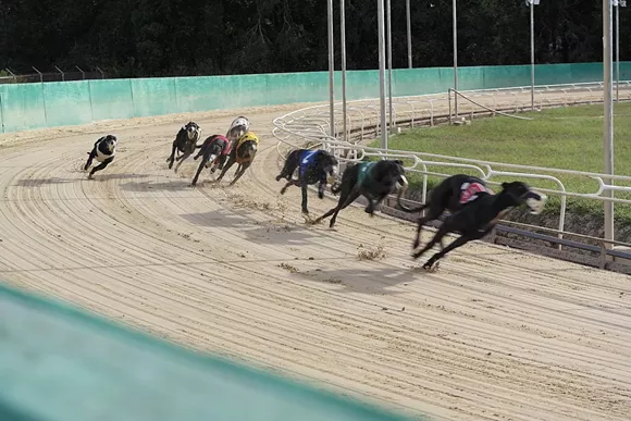 sanford track greyhound racing in florida to be discussed during 2015 legislative session blogs sanford track greyhound racing in florida to be discussed during 2015 legislative session blogs