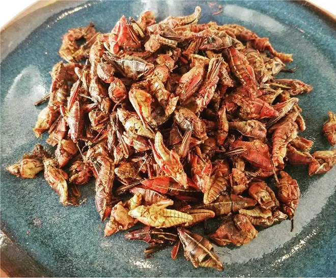 How to Cook Grasshoppers pictures How to Cook Grasshoppers pics
