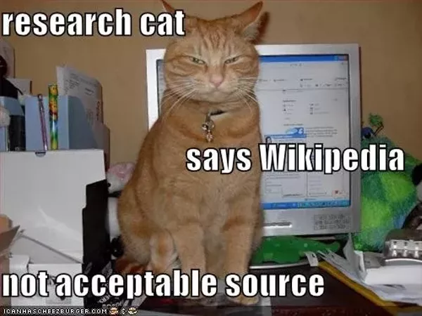 Dissertation And Wnt