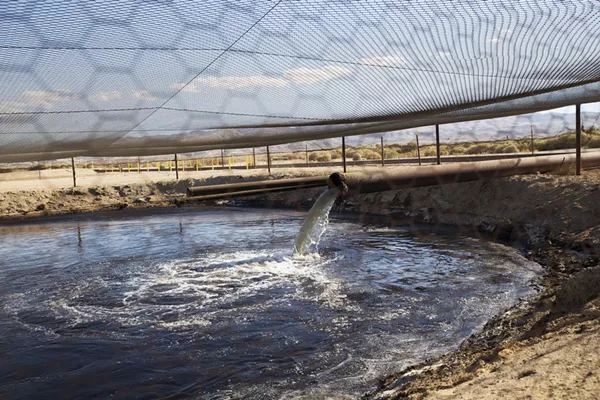 Fracking fluid and other drilling wastes are dumped into an unlined pit located right up against the Petroleum Highway in Kern County, California. - ARAH CRAIG/FACES OF FRACKING