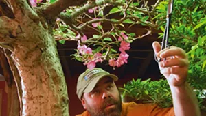 Acclaimed Restaurateur Michel Mahe Dies