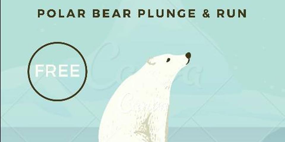 polar bear plunge & run