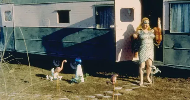 Divine in all her glory in the previously banned-in-NS Pink Flamingos.