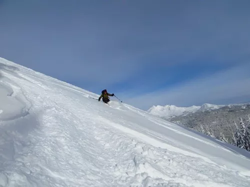 Shredding in November!