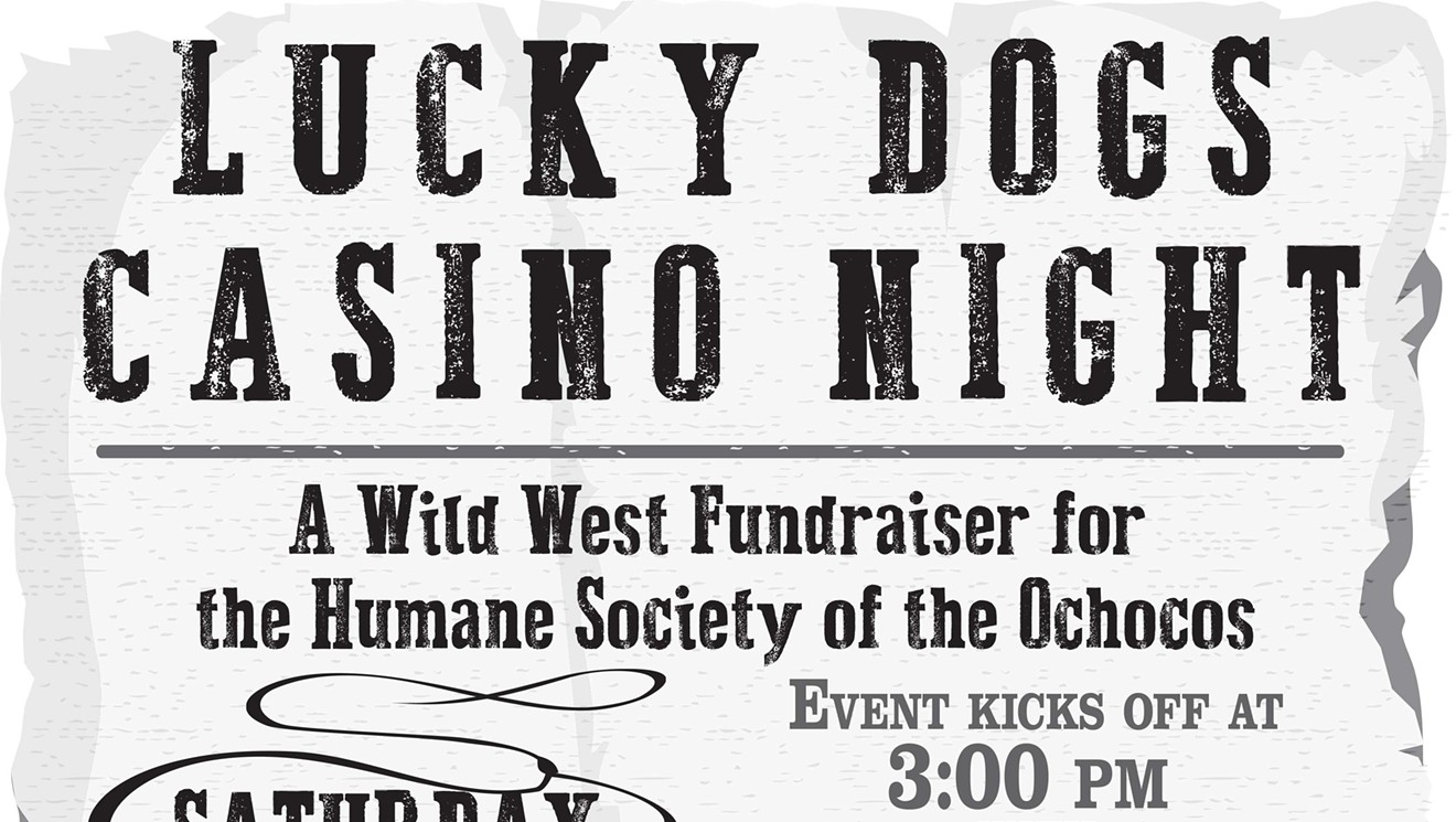 Lucky Dogs Casino Night
