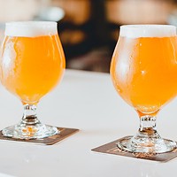 The Confusing Case of Cold IPAs