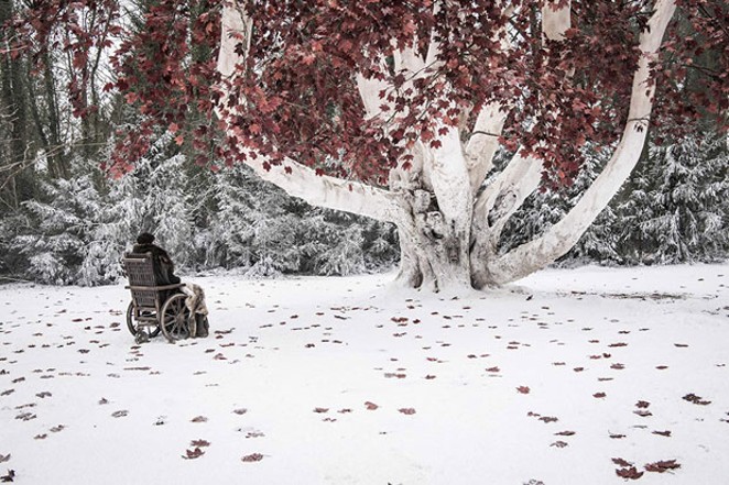 Bran and the Godswood: together again at last. - COURTESY HBO