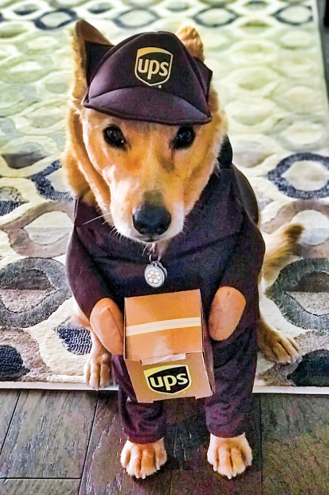 Honorable mention: Whiskey as a UPS Driver. - SUBMITTED