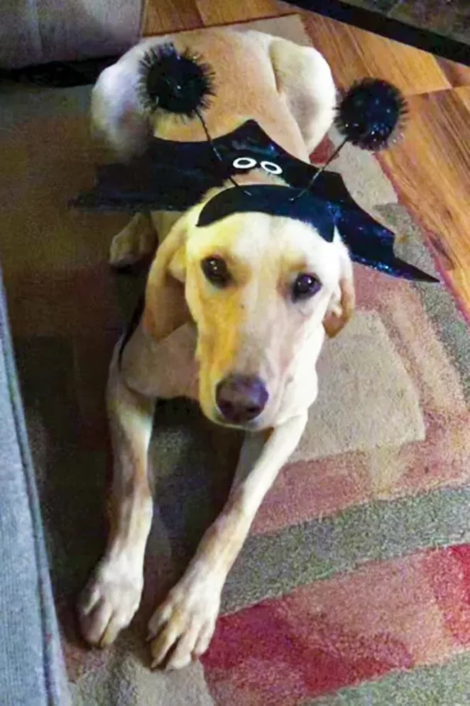 Lucy - SUBMITTED