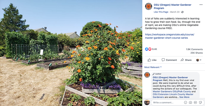 Novice gardeners across the U.S. signed up for OSU's free introduction to vegetable gardening course. The course is still open and free for new signups. - OSU MASTER GARDENER PROGRAM VIA FACEBOOK