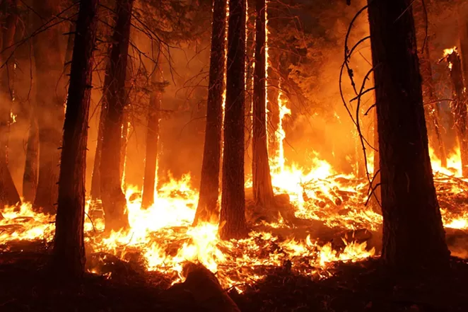 Officials say a combination of factors this year mean it will be especially important for locals to do their part to prevent the spread of wildfire around their homes. - PIXABAY
