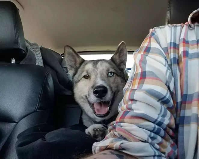Daidone's dog, Odin, cheeses for the camera before the two took off to New Jersey - having no idea what was in store in the months ahead. - MICHAEL DAIDONE