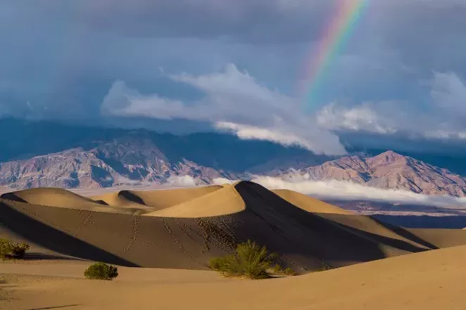 Is a Big Win for Conservation a Blow to Climate Action?