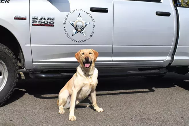 The Nose Knows: Working K-9s of Central Oregon
