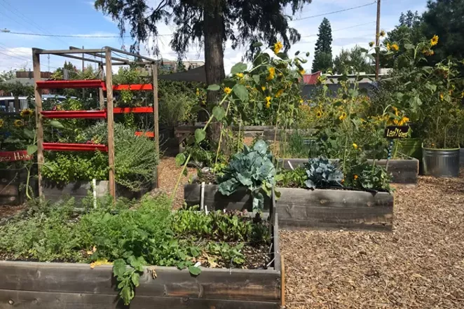 Part of the The Environmental Center&#39;s Kansas Avenue Learning Garden. - DENISE ROWCROFT