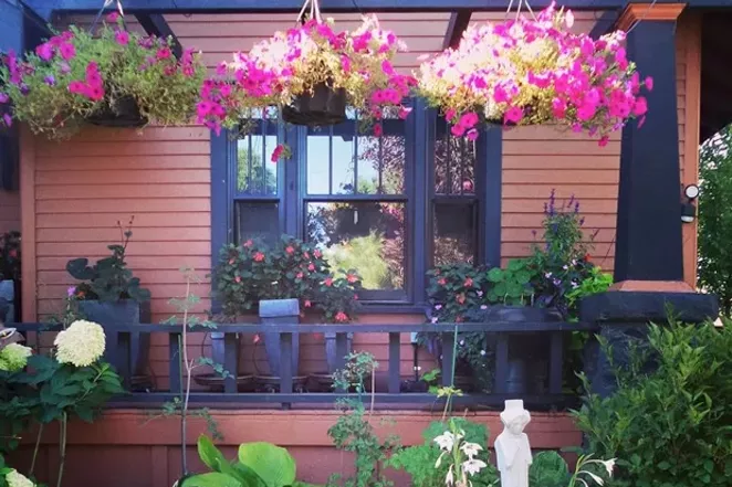 Cameron Clark&#39;s residential garden in full bloom. - CAMERON CLARK