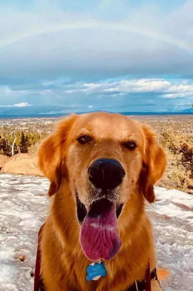 There's nothing better than a refreshingly cool hike, a good dog and breathtaking views from Pilot Butte! @dogguidebend tagged us in this colorful photo that overlooks the great city of Bend. Share your photos with us and tag us @sourceweekly for a chance to be featured here and as the Instagram of the Week in the Cascades Reader. Winners get a free print from @highdesertframeworks. - COURTESY @DIGGUIDEBEND/INSTAGRAM