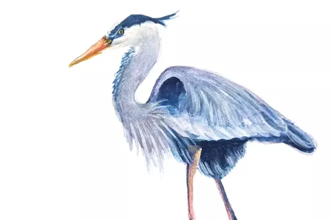We love to see Central Oregonians get Creative! This week @milsia.makris.art tagged us in a painting of this beautiful blue heron. Feeling creative this week? Tag us to get featured! Don't forget to share your photos with us and tag @sourceweekly for a chance to be featured as Instagram of the week and in print as our Lightmeter. Winners receive a free print from @highdesertframeworks. - @MILSIA