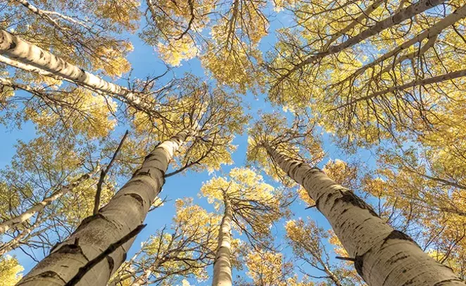 COURTESY DESCHUTES LAND TRUST