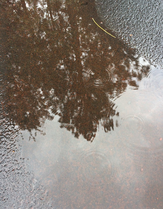 May rain in Bend. - LEIGHA THRELKELD