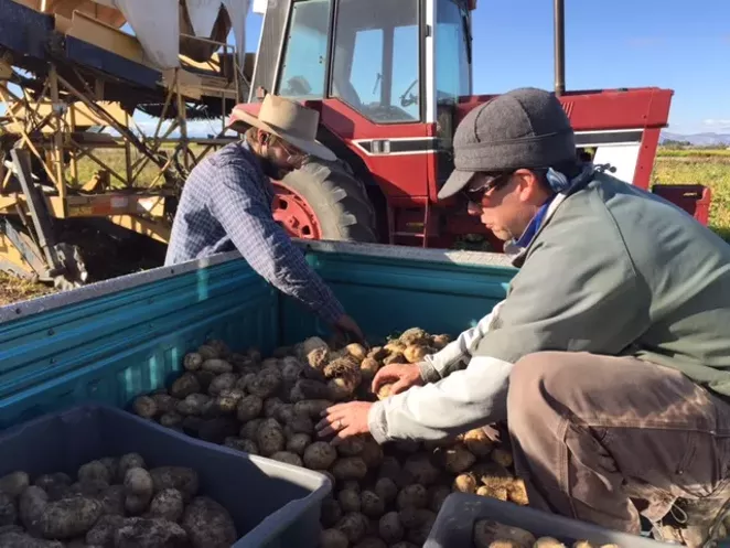 PHOTO COURTESY HIGH DESERT FOOD & FARM ALLIANCE