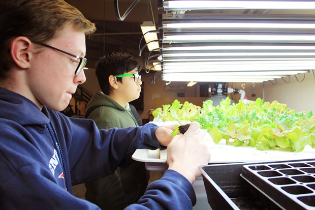 Student Manny assesses the Pilot Butte aquaponics garden as Samuel feeds the juvenile root system of a new plant into a styrofoam hole where the roots can reach nutrients in the water below. - KM COLLINS