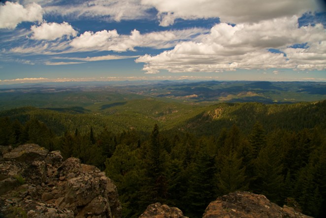 Top of Lookout Mountain, the highest peak in the Ochoco National Forest. - SUBMITTED