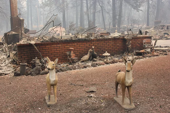 A fireplace and lawn ornaments are the surviving remnants of a home burned in Paradise, Calif. - MELISSA DAUGHERTY, CHICO NEWS & REVIEW