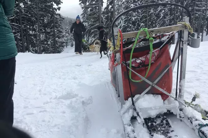 Putting the Dogs First
