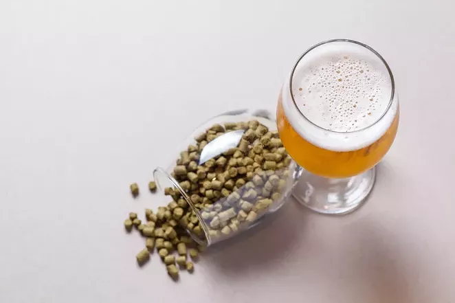 A pale ale with a glass of hops. - CANSTOCKPHOTO.COM
