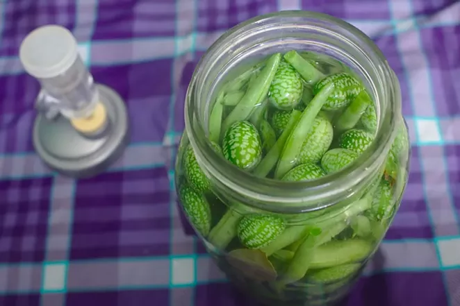 Lacto-fermentation. - PIXABAY