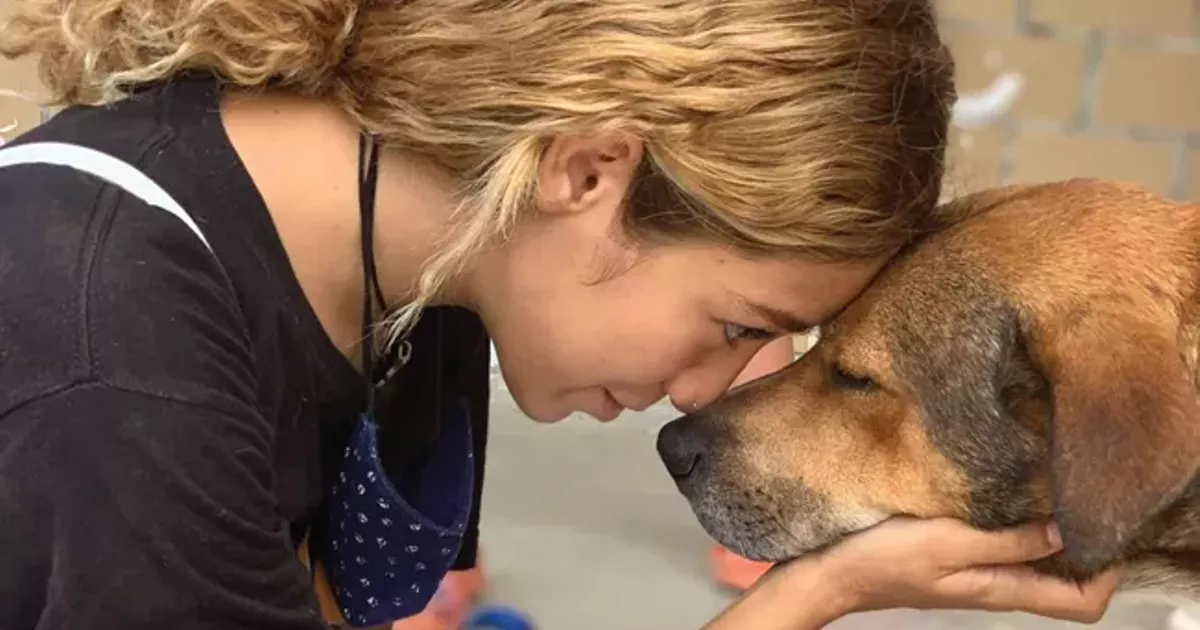 Street Dog Hero Culture Bend The Source Weekly Bend Oregon