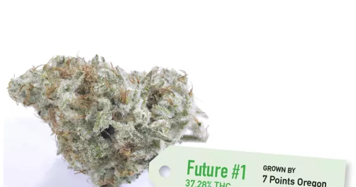 The Strongest Flower Yet Smoke Signals Bend The Source Weekly Bend Oregon