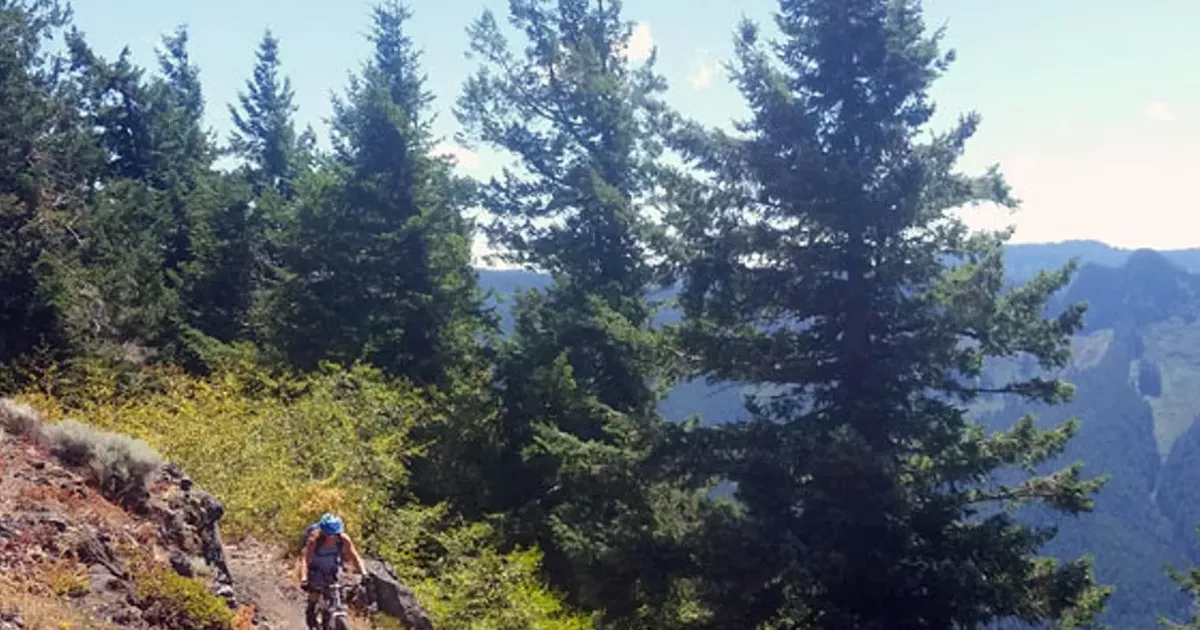 olallie mountain bike trail