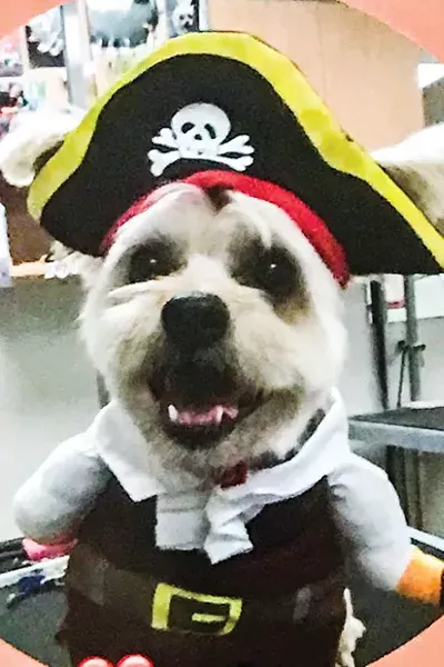 Benny - SUBMITTED