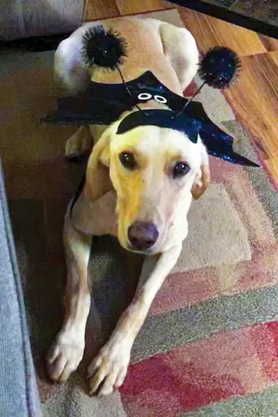 Lucy - SUBMITTED