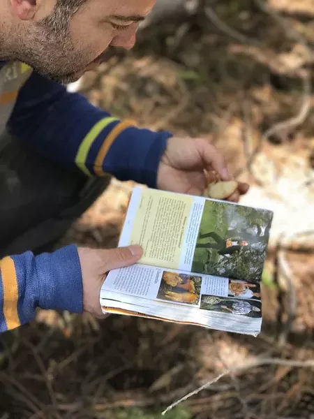 Identifying mushrooms is a hard feat - LISA SIPE