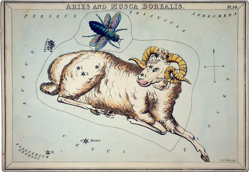 WIKIMEDIA