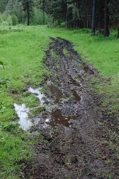 A mudded area by OHVs illegally tearing up McKay Creek Meadow in the Ochoco National Forest. - SCOTT STAATS