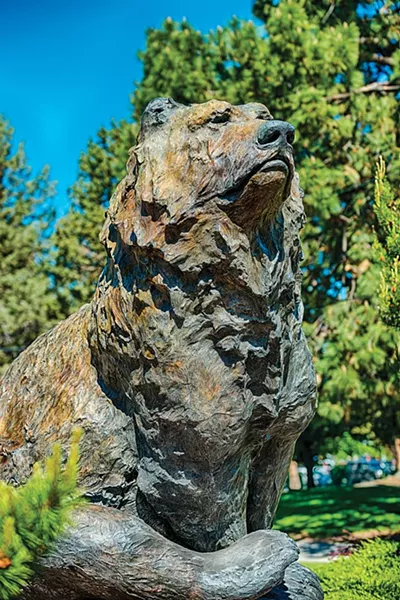 Grizzly. - VISIT BEND