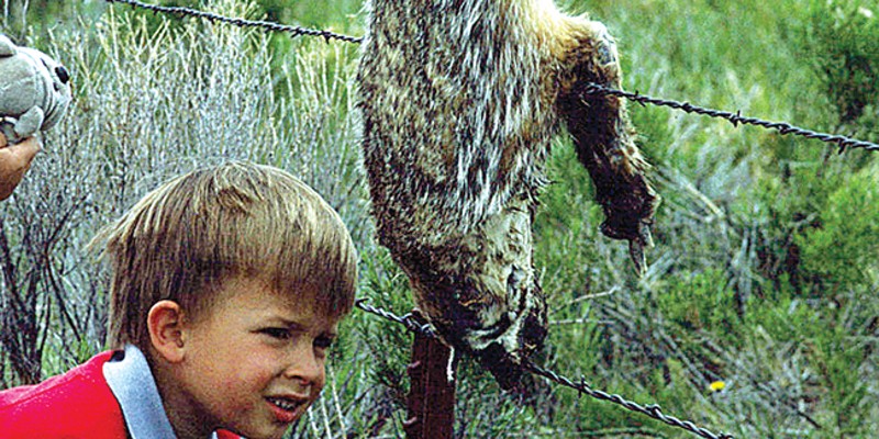 Caleb Anderson looks over a badger killed and hung from a fence in Oregon's Great Sandy Desert.