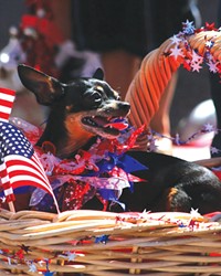 Over the years, fringe pets were eventually phased out of the Pet Parade; now, dogs pretty much rule the event.