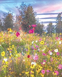 The last of the summer wildflowers match the vibrancy of the Central Oregon sunset in this beautiful photo from @n8_vines. Central Oregon's trails are lined with these flourishing wild blossoms. Make sure to get outside, and enjoy them while you can. Thanks for tagging us in this! Don't forget to share your photos with us and tag @sourceweekly for a chance to be featured as Instagram of the week and in print as out Lightmeter. Winners receive a free print from @highdesertframeworks.