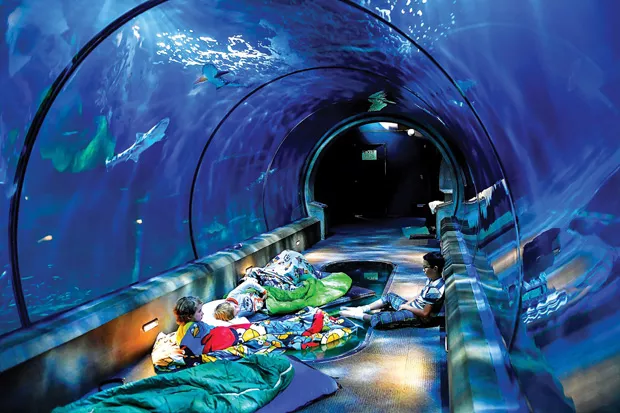 PHOTO COURTESY OREGON COAST AQUARIUM