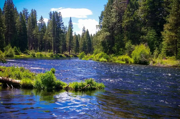 A U.S. Forest Service photo shows the Metolius River at the Deschutes National Forest that the agency manages. - U.S. FOREST SERVICE