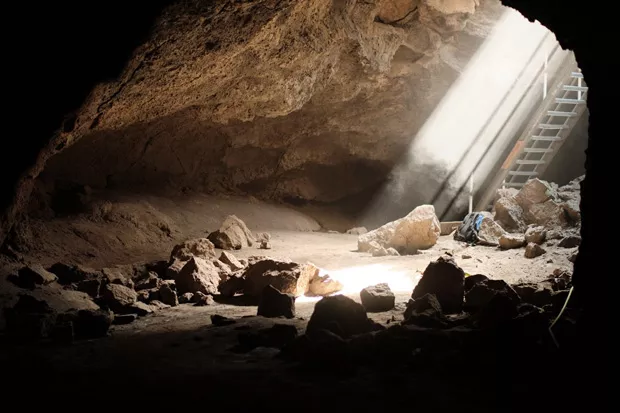 A shaft of light illuminates Boyd Cave, its condition already improved by volunteers. - DREW PICK
