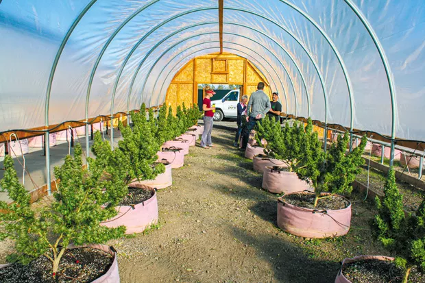 Stacie Johnson, at left, and Tim Fratto, at right, explain harvest methods to a visiting couple at Central Oregon CBD. - NICOLE VULCAN