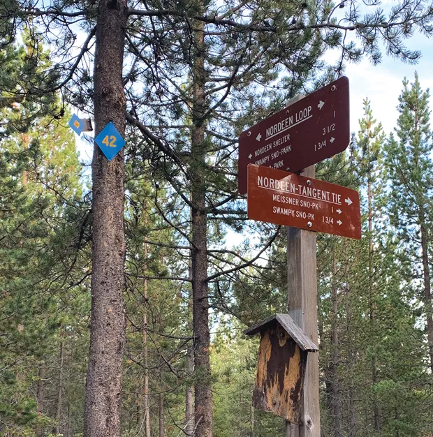 The blue and yellow reflective trail markers are fixed high on the tree trunks to stay visible when several feet of snow cover the trails. - SUZANNE JOHNSON