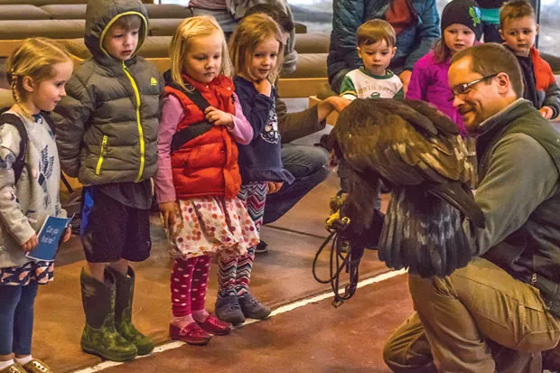Get up close with birds of prey at the High Desert Museum . - COURTESY OF THE HIGH DESERT MUSEUM