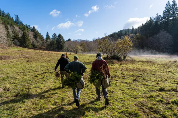 By garnering donations from the public, Project Appleseed aims to plant 2 million trees—double its initial goal. - GRANT TANDY